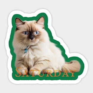 Saturday Cat!. Enjoy it (the saturday and the cat) Sticker
